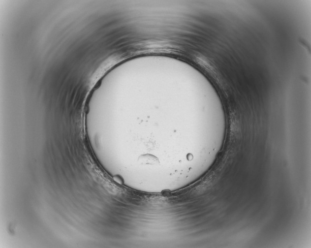 X0000102241370200808151743