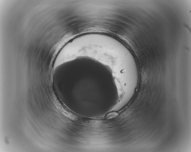 X0000102241371200808151743