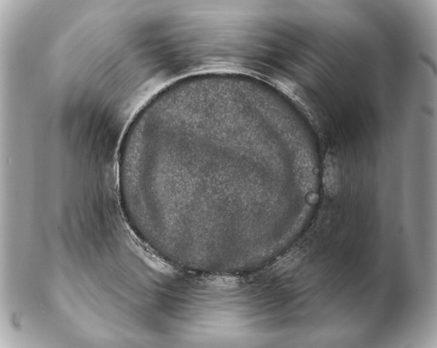 X0000102241372200808151743