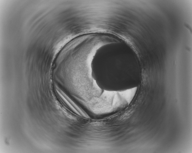 X0000102241373200808151743