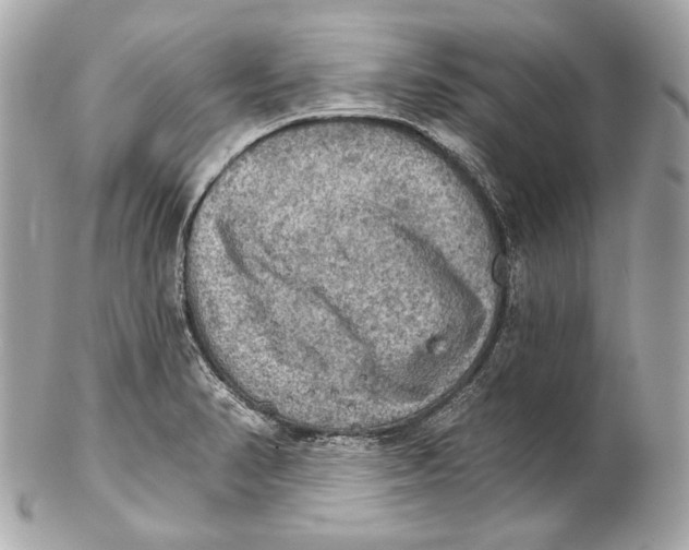 X0000102241374200808151743