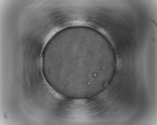 X0000102241376200808151743