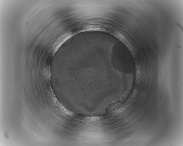 X0000102241377200808151743