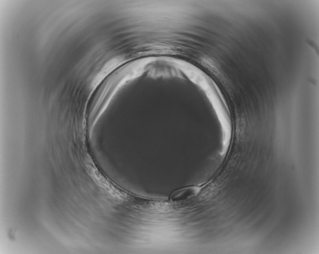 X0000102241378200808151743