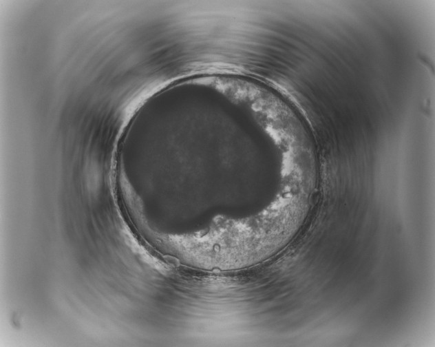 X0000102241379200808151743