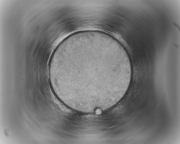 X0000102241380200808151743