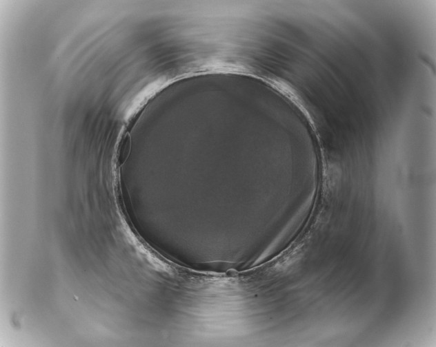 X0000102241381200808151743