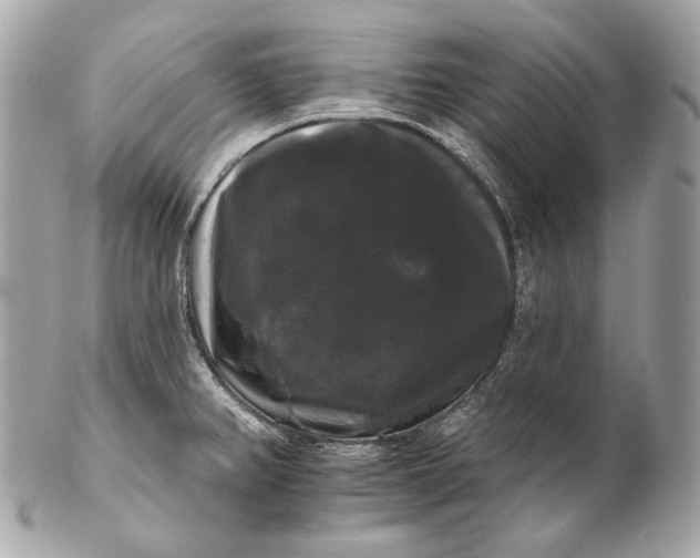 X0000102241382200808151743