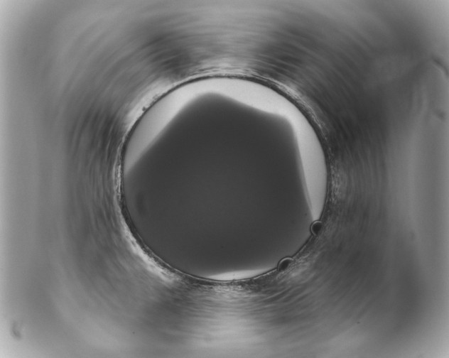 X0000102241383200808151743