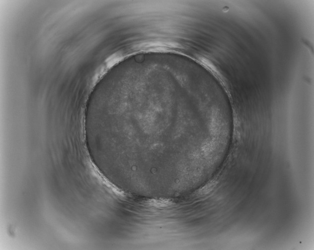 X0000102241384200808151743