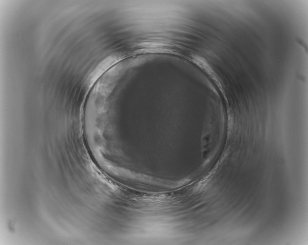 X0000102241386200808151743