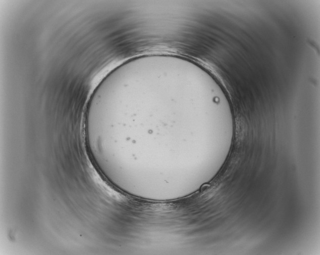 X0000102241387200808151743