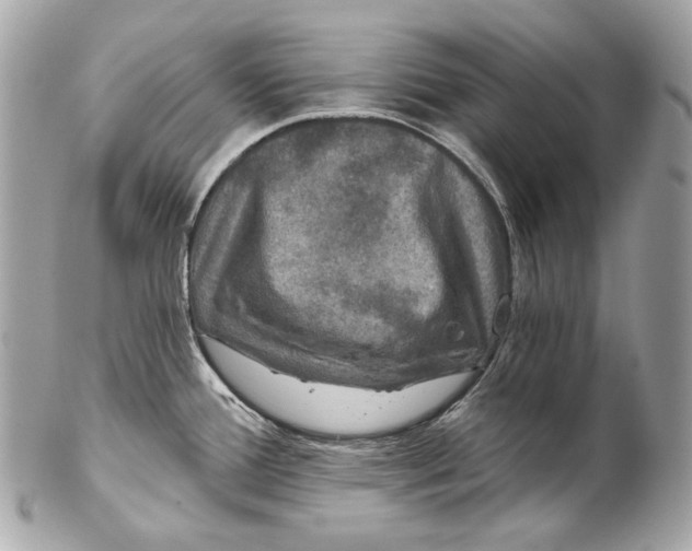 X0000102241388200808151743