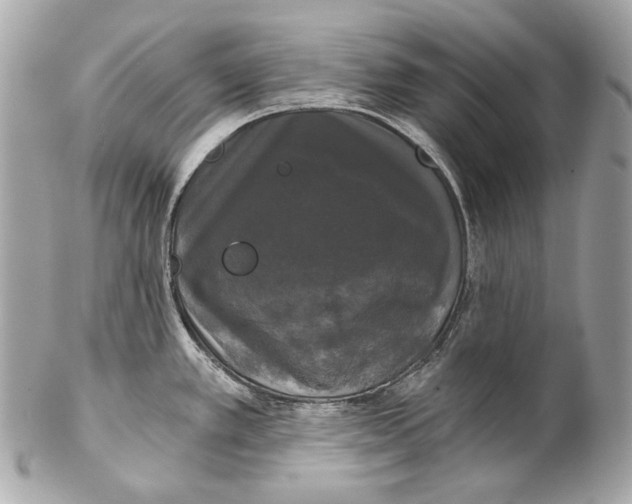 X0000102241389200808151743