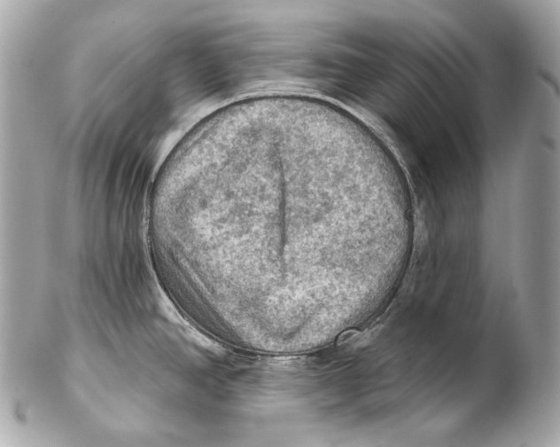 X0000102241390200808151743