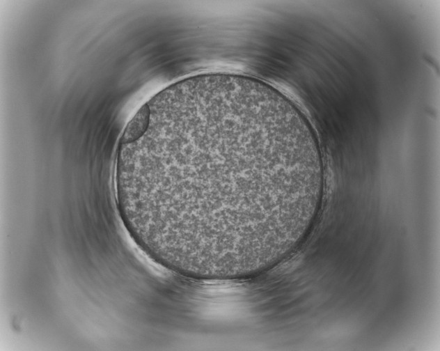 X0000102241391200808151743