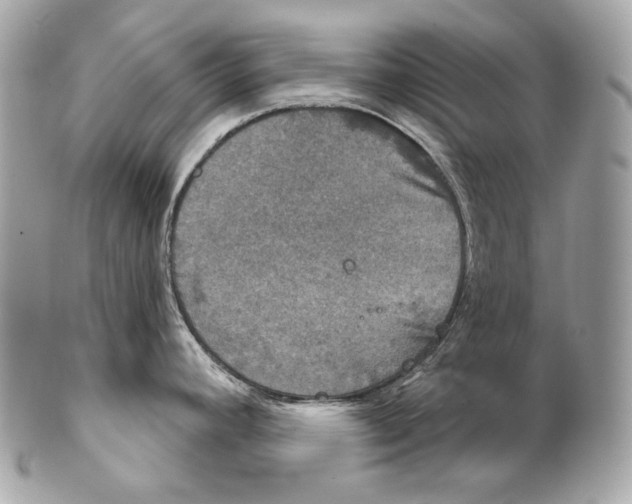 X0000102241392200808151743