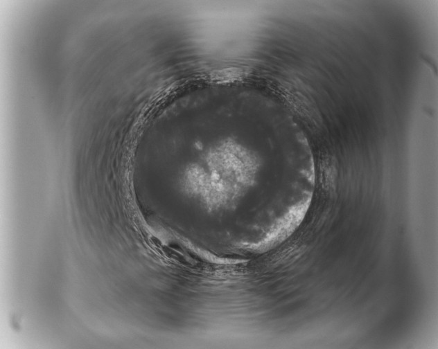 X0000102241393200808151742