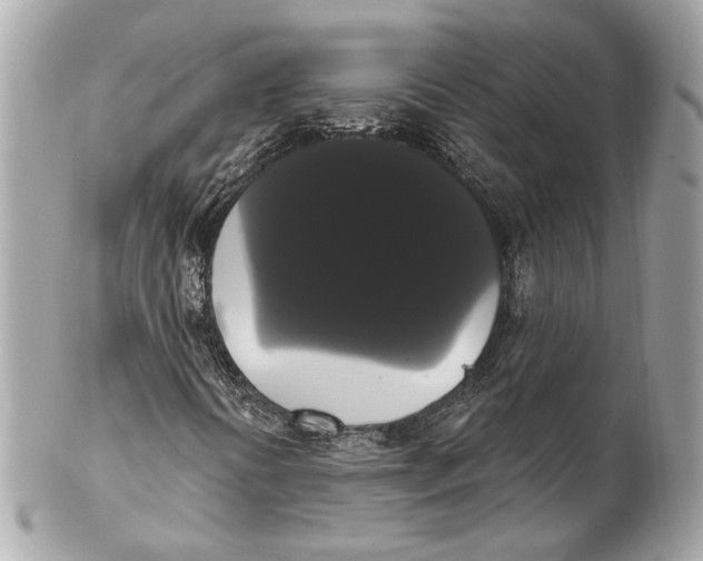 X0000102241394200808151742