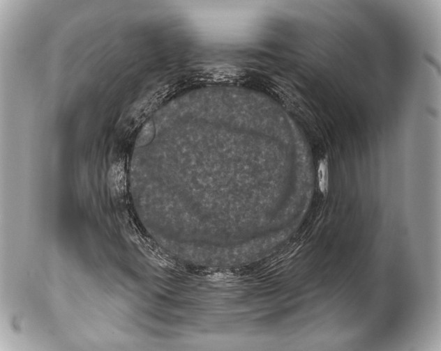 X0000102241395200808151742