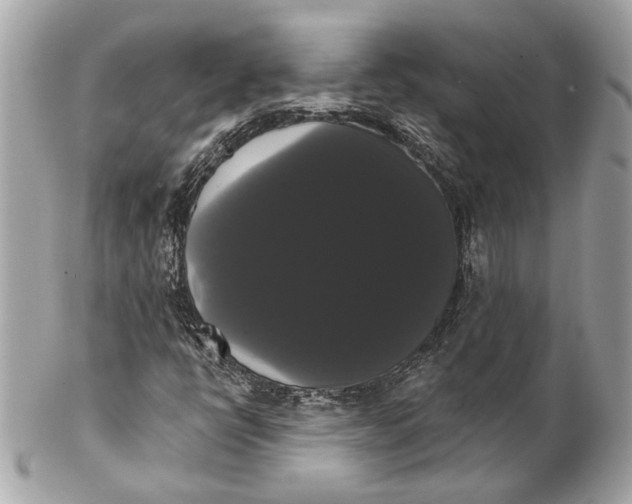 X0000102241398200808151742