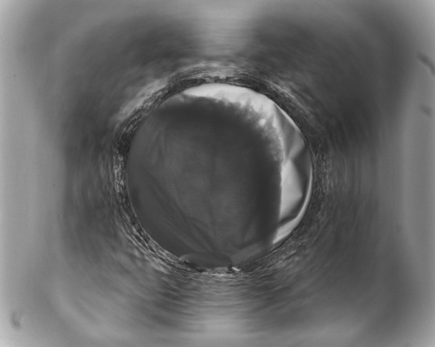 X0000102241399200808151742