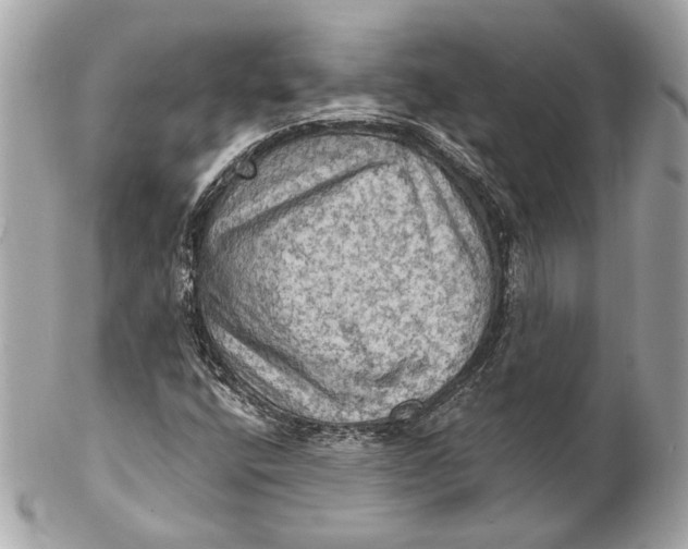 X0000102241400200808151742