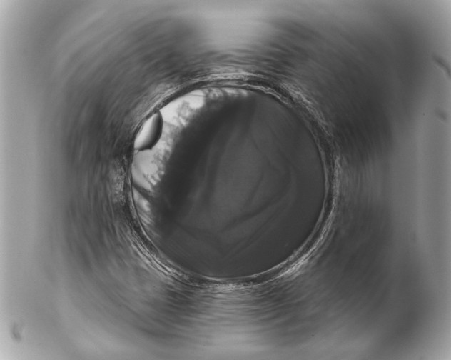 X0000102241401200808151742