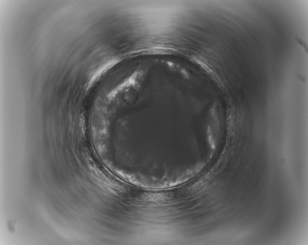 X0000102241402200808151742