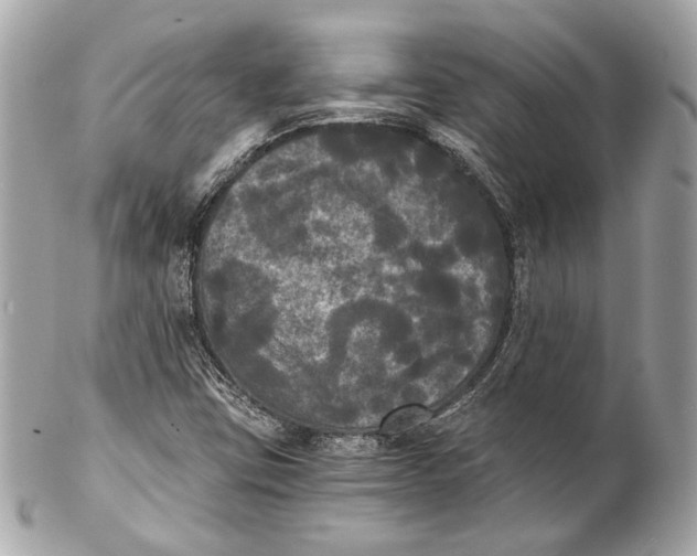 X0000102241403200808151742