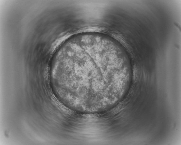 X0000102241404200808151742