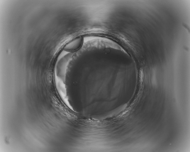 X0000102241405200808151742