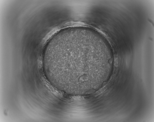 X0000102241407200808151742