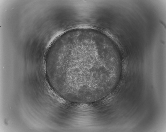 X0000102241408200808151742