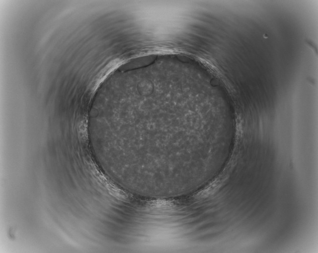 X0000102241409200808151742