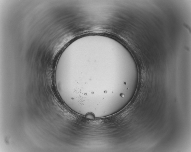 X0000102241410200808151742