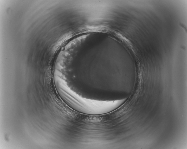 X0000102241411200808151742