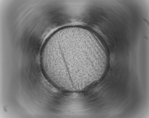 X0000102241412200808151742