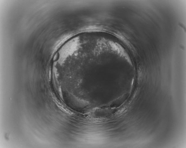 X0000102241413200808151742