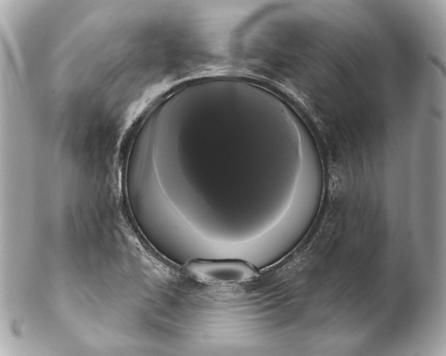 X0000102241414200808151742