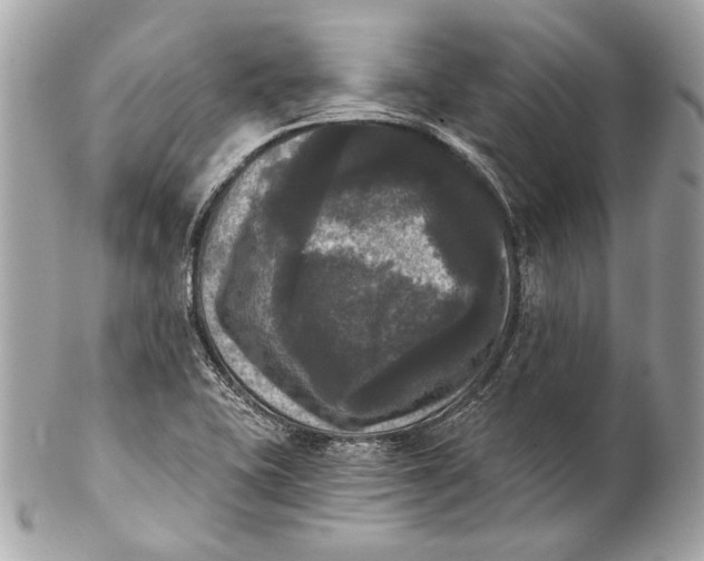 X0000102241415200808151742