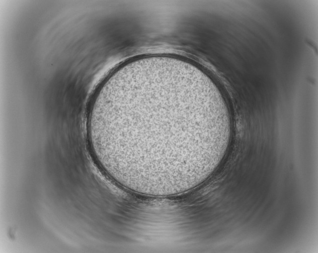 X0000102241416200808151742