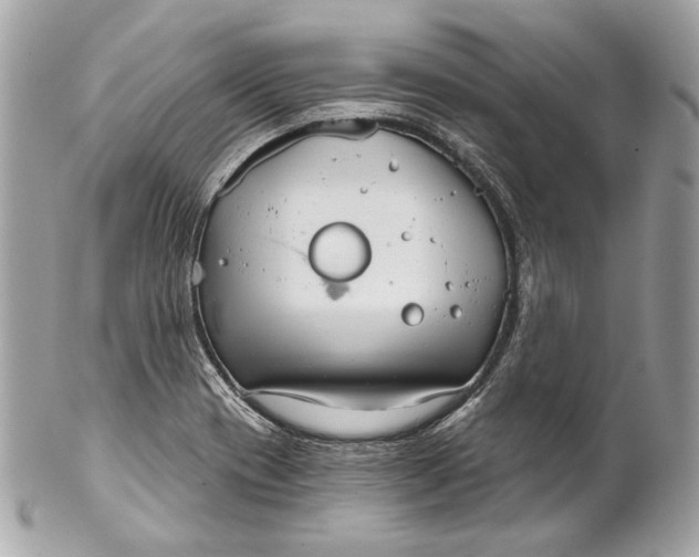 X0000102241417200808151743