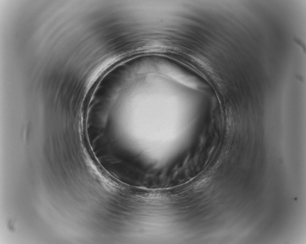 X0000102241418200808151743