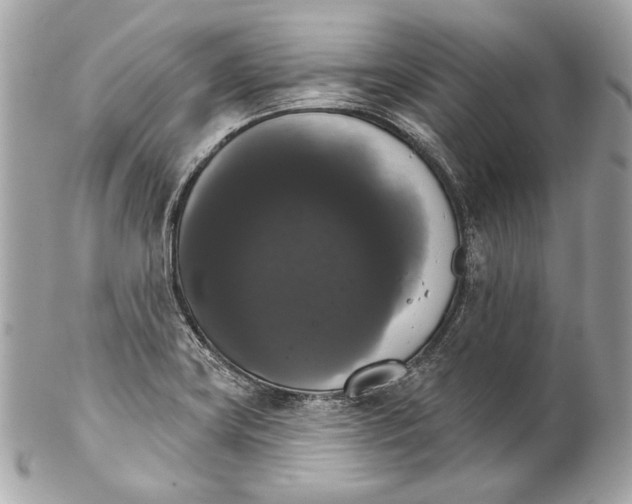 X0000102241419200808151743