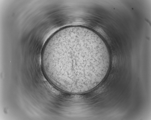 X0000102241420200808151743