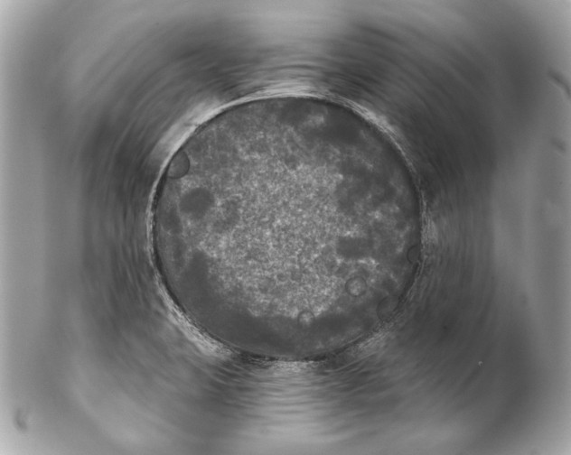 X0000102241423200808151743