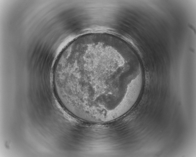 X0000102241424200808151743