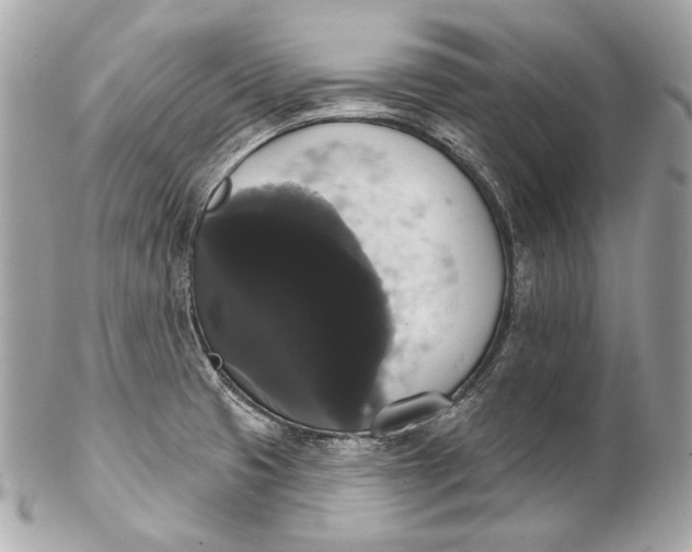 X0000102241425200808151743