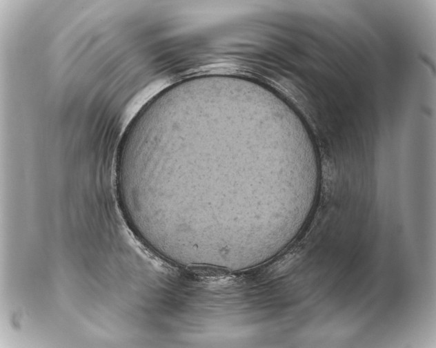 X0000102241426200808151743